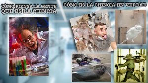 Imágenes de experimentación animal en laboratorios