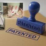 Patente de un producto hecho a base de material biológico