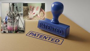 Patente de un producto hecho a base de material biológico