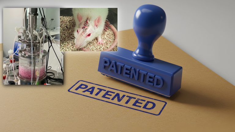 Patente de un producto hecho a base de material biológico