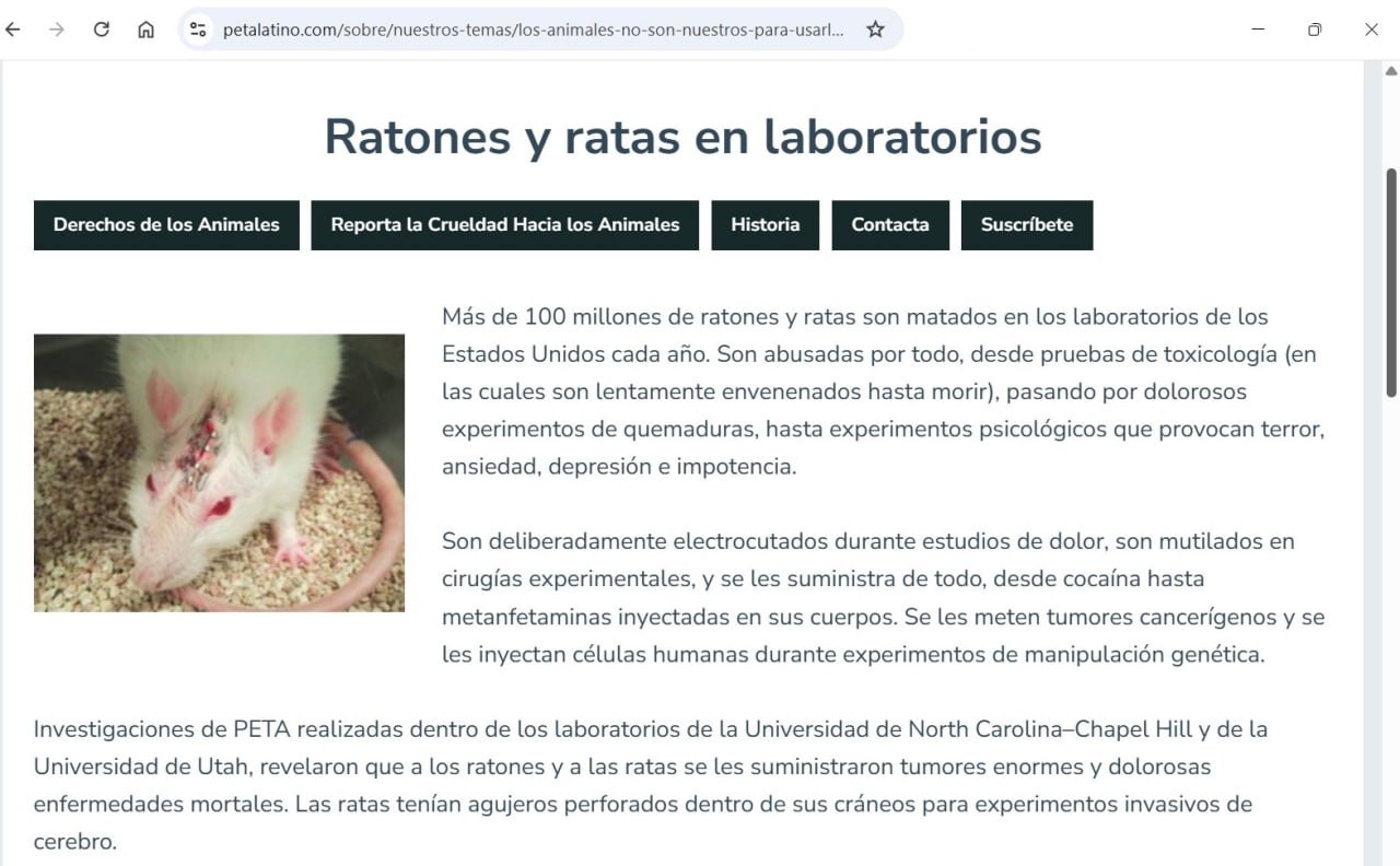 Imagen de ratón de laboratorio